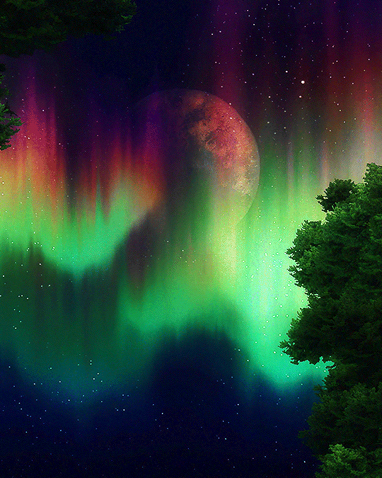 Second GIF, rendered as GIF